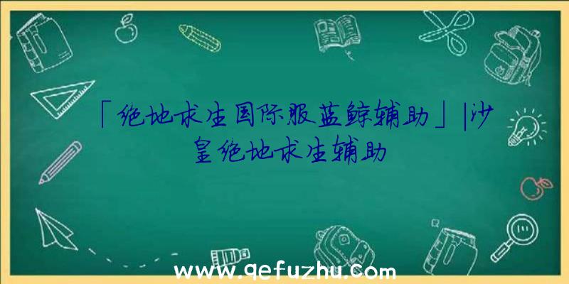 「绝地求生国际服蓝鲸辅助」|沙皇绝地求生辅助